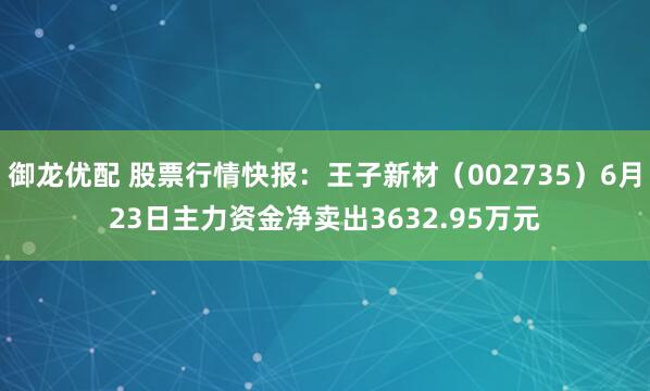 御龙优配 股票行情快报：王子新材（002735）6月23日主力资金净卖出3632.95万元